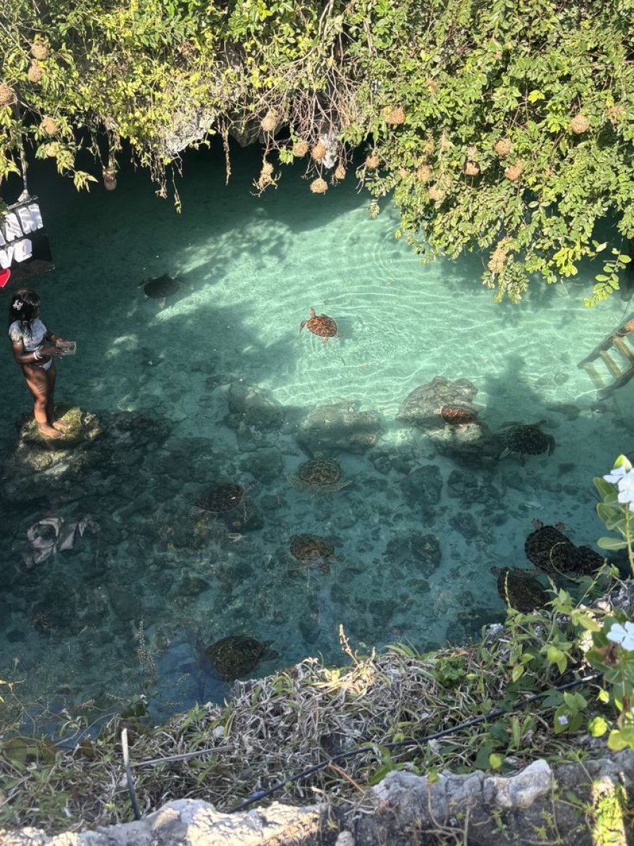 Salaam Cave Tour and Dolphin Tour at Kizimkazi