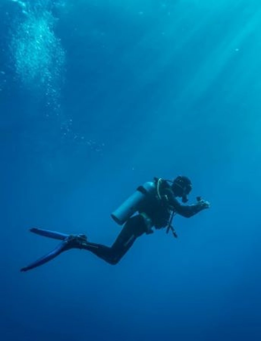  Zanzibar Diving Tours – The Ultimate Guide to Scuba Diving Adventures