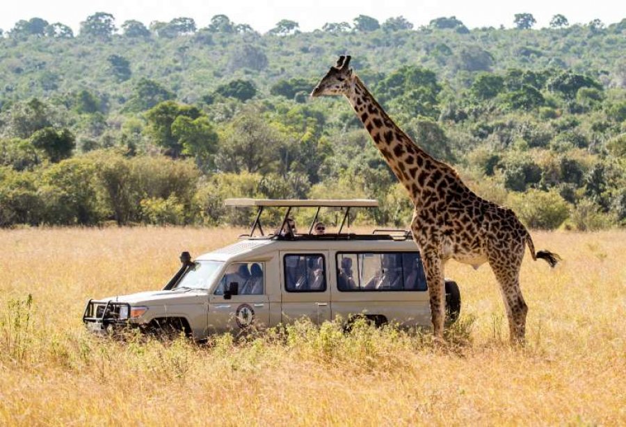 3 Days 2 Nights - Safaris