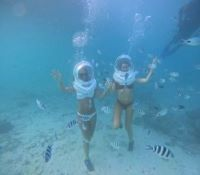 Seawalk Tour safari moment
