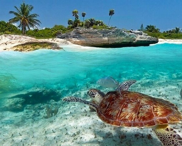 Stone Town Tour, Prison island Tour & Nakupenda beach safari moment
