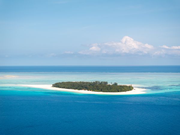 Mnemba Island Snorkelling safari moment