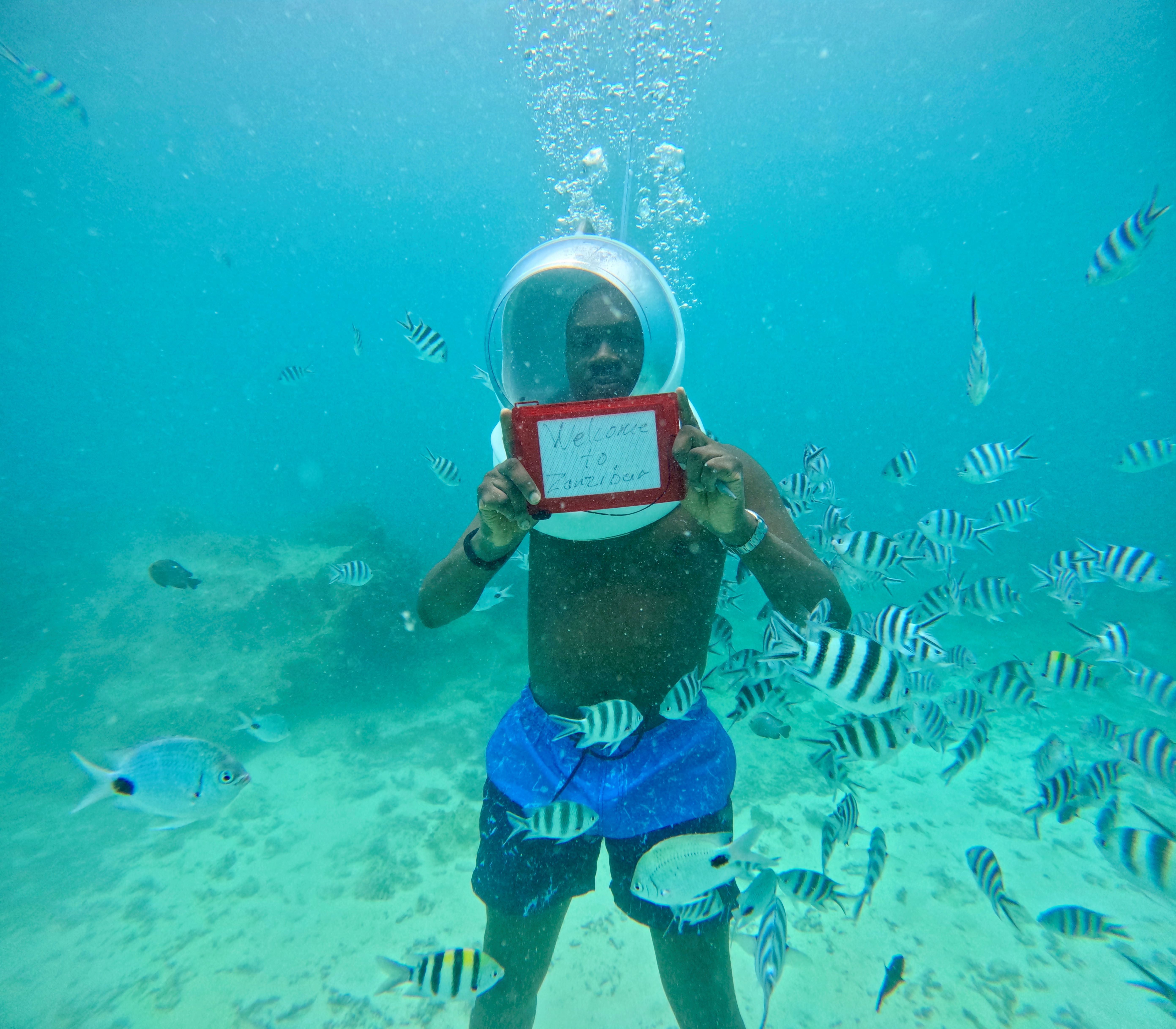 Seawalk Tour safari moment