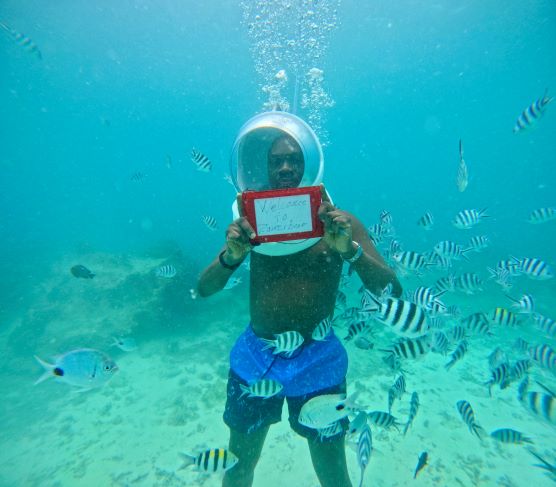 Seawalk Tour safari moment