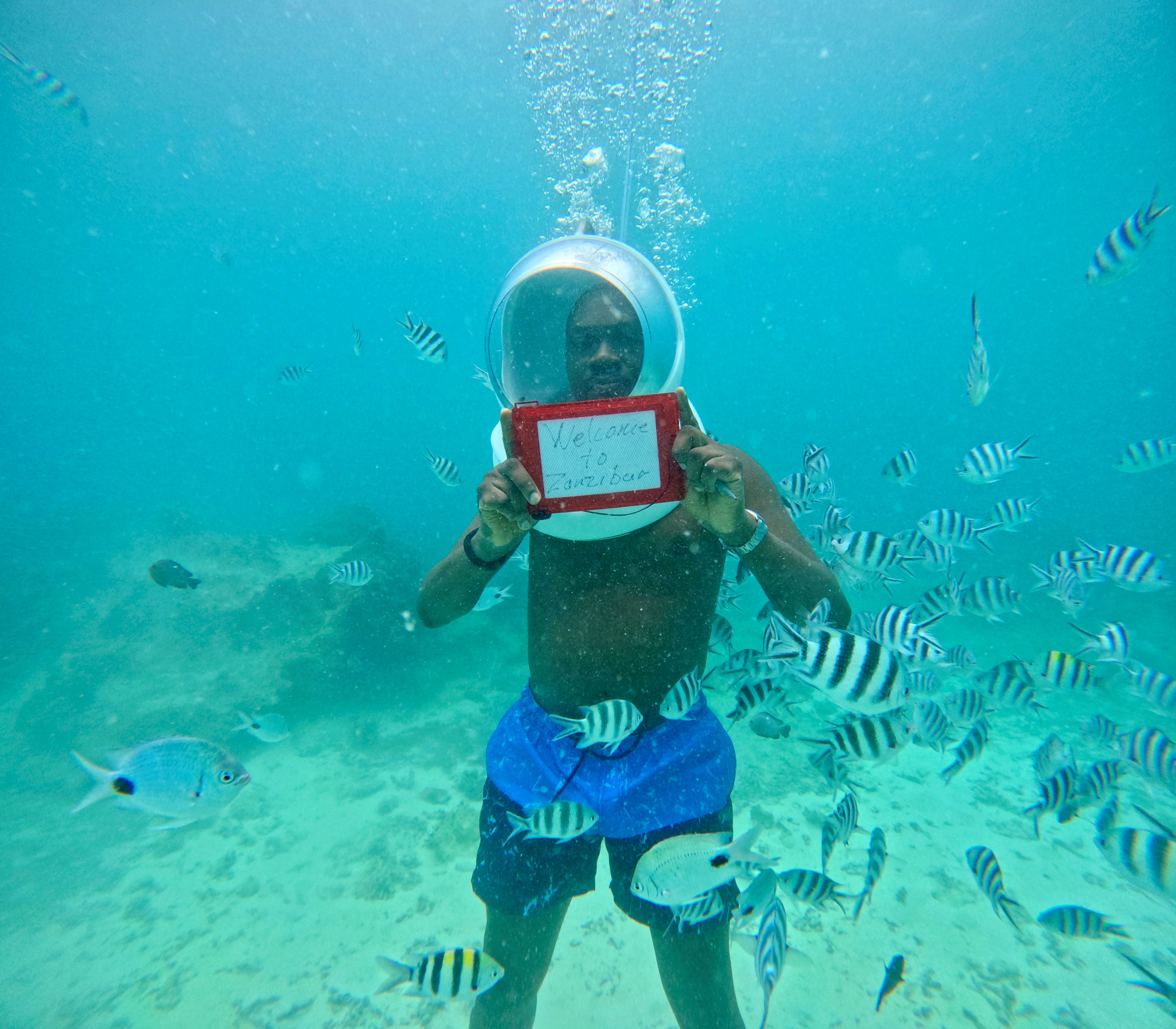 Seawalk Tour safari moment