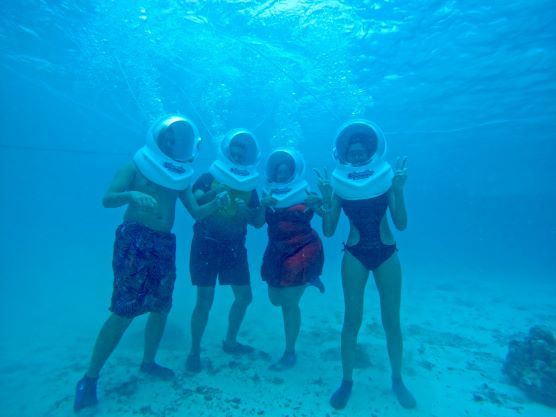 Seawalk Tour safari moment