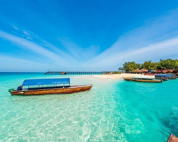 Stone Town Tour, Prison island Tour & Nakupenda beach safari moment