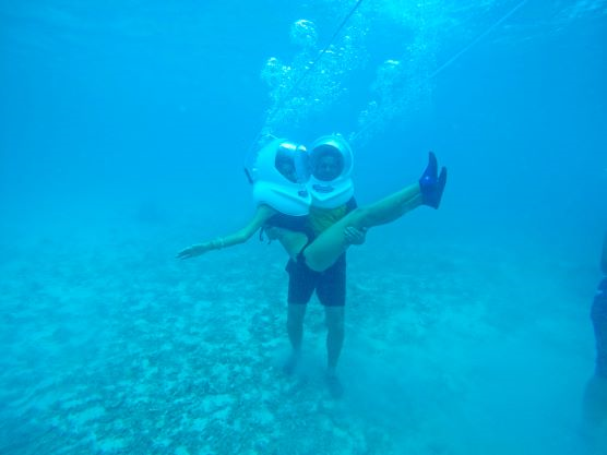 Seawalk Tour safari moment